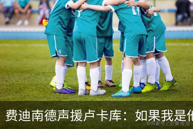 费迪南德声援卢卡库：如果我是他 我可能会疯